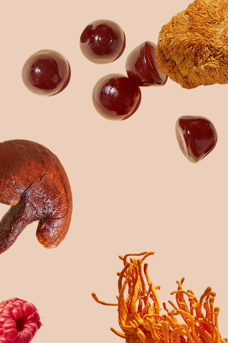 Forest Caps mushroom gummies, functional mushrooms, mushroom gummy, Wild Raspberry