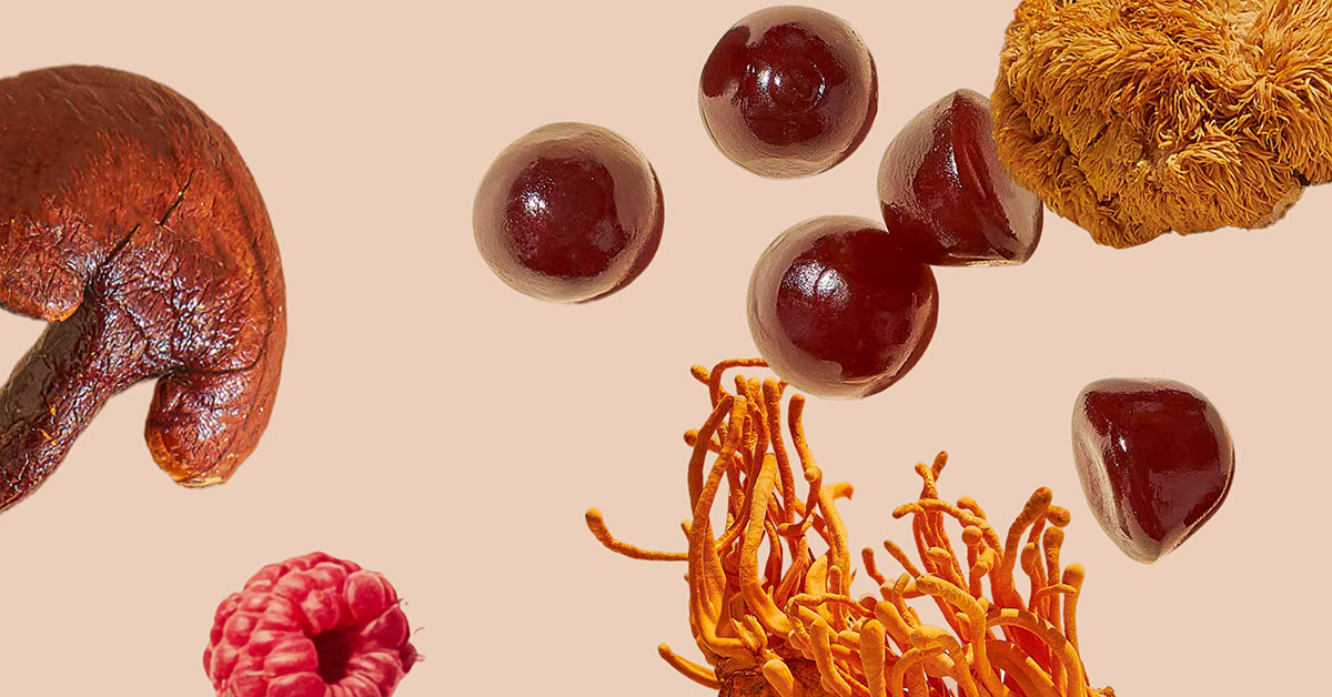 Forest Caps mushroom gummies, functional mushrooms, mushroom gummy, Wild Raspberry