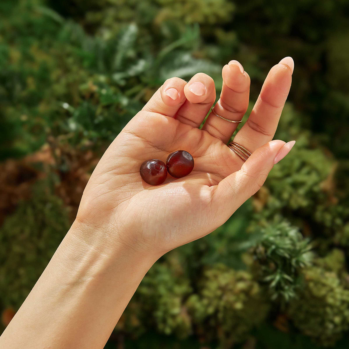 Forest Caps mushroom gummies, functional mushrooms, mushroom gummy ritual, wild raspberry