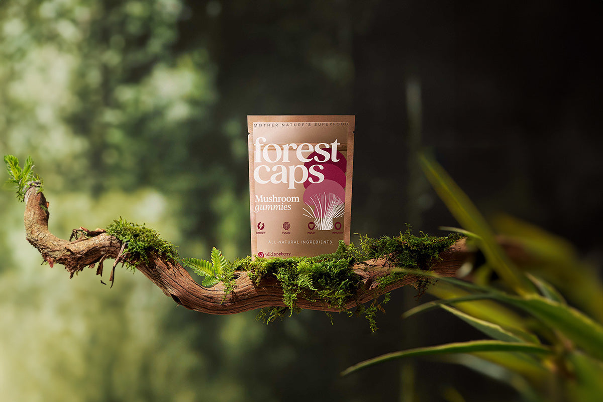 Forest Caps mushroom gummies, functional mushrooms, mushroom gummy ritual, wild raspberry