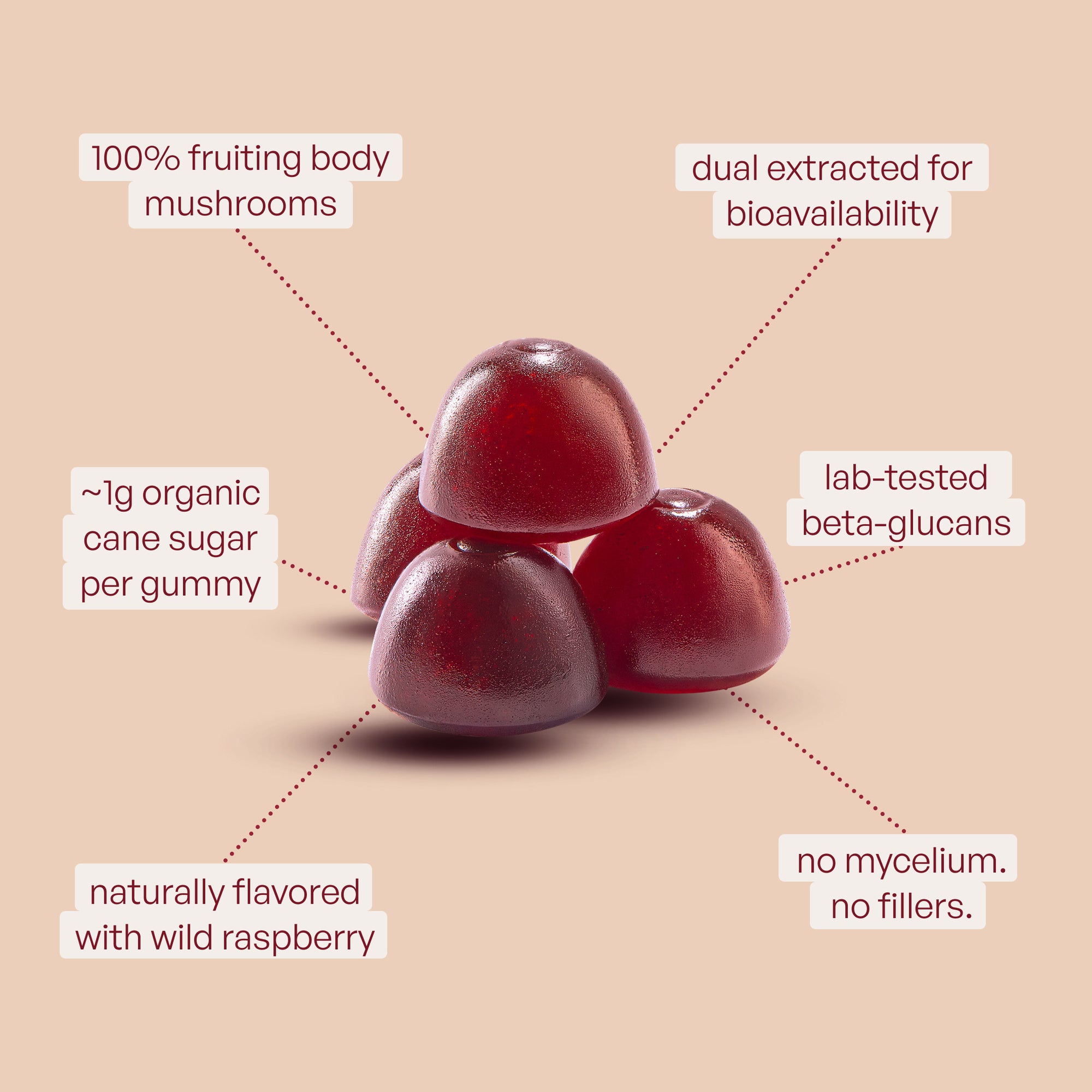 ForestCaps Mushroom Gummies